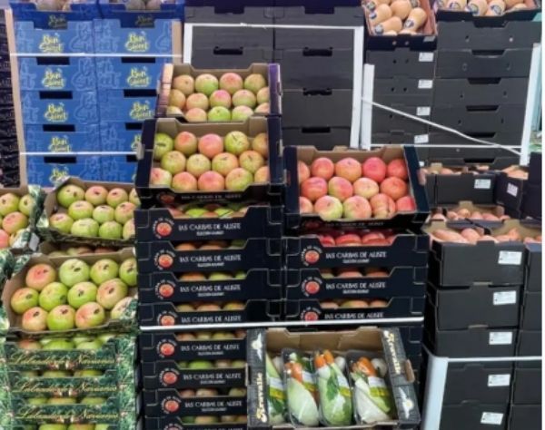 Curso especializado de fabricación de cajas para agricultura