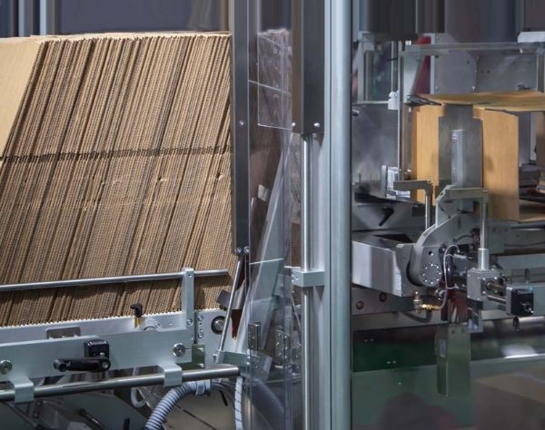 Programa especializado de Flexo Folder Gluer